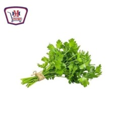 شبت - بقدونس - كزبره - حزمه