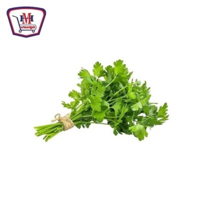 شبت - بقدونس - كزبره - حزمه