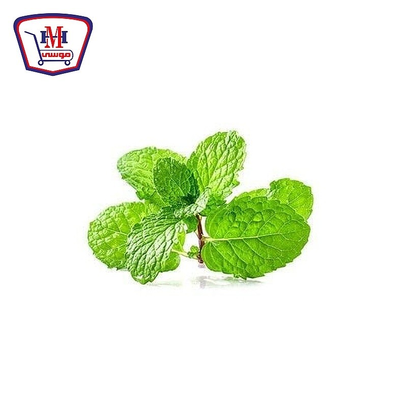 نعناع حزمه نعناع حزمه