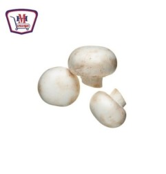 صورة مشروم طبق . 200 - 250 جرام من ثمار - هايبر موسى