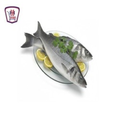 قاروص 1 كيلو جرام | هايبر موسى