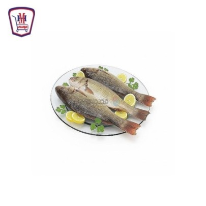 لوت كبير 1 كيلو جرام | من موسى | هايبر موسى