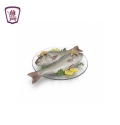 لوت صغير 1 كيلو جرام | من موسى | هايبر موسى — تسوّق أونلاين