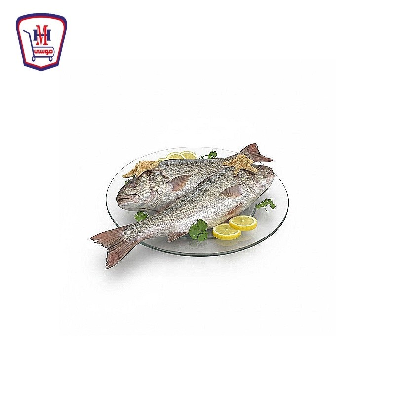 لوت صغير 500 جرام