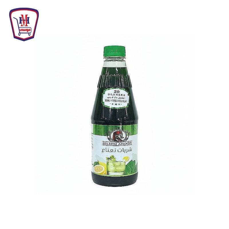 سلمى شربات ليمون نعناع 1000 مللى