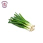 بصل اخضر حزمه
