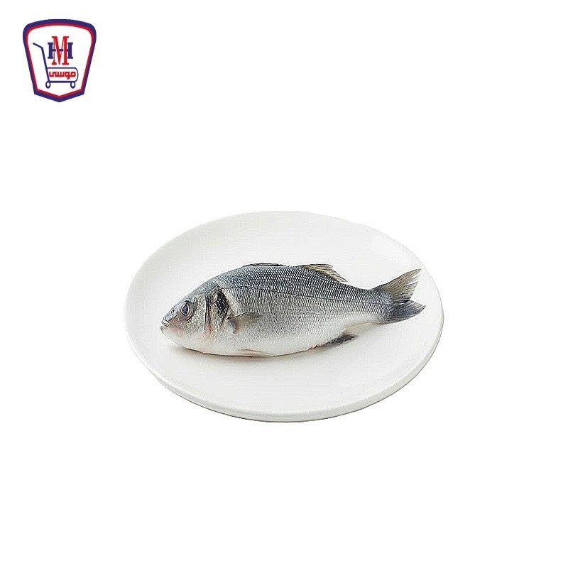 سمك قاروص 450 جرام