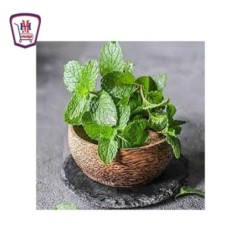 نعناع ورق 200 جرام | من موسى | هايبر موسى — أفضل سعر وتوصيل سريع