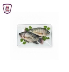 بلطى صغير 1 كيلو جرام | هايبر موسى — تسوّق أونلاين