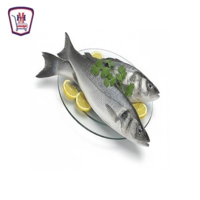 قاروص 1 كيلو جرام | هايبر موسى