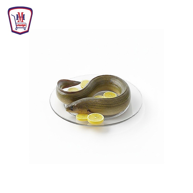 ثعابين 500 جرام