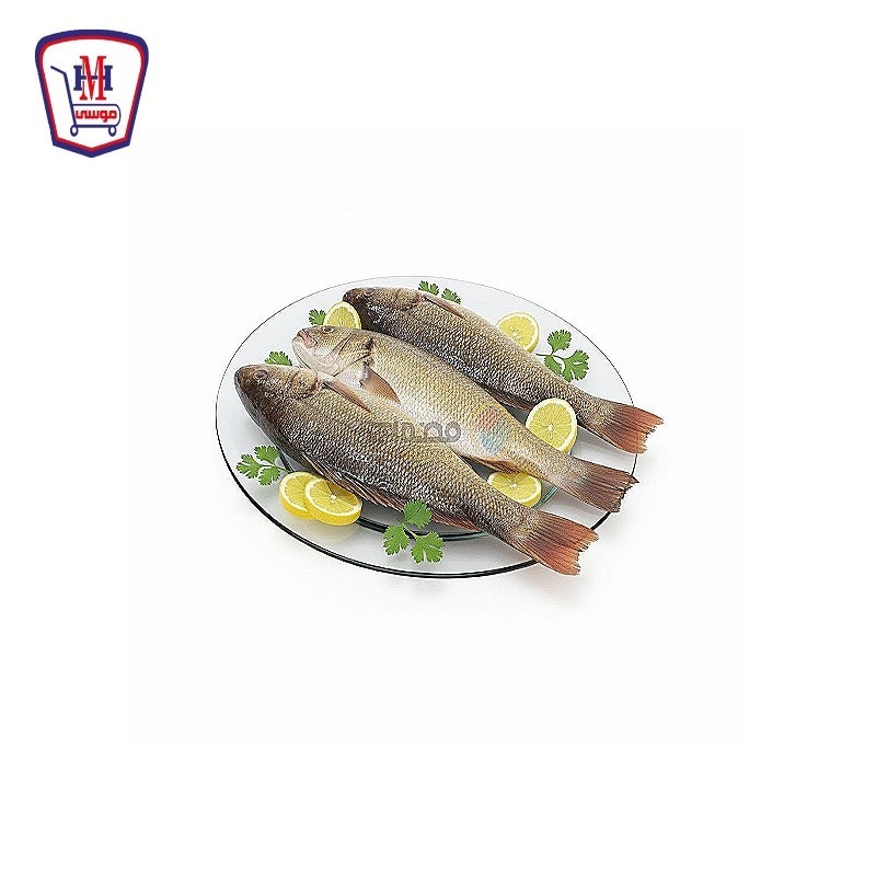 لوت كبير 1 كيلو جرام لوت كبير 1 كيلو جرام