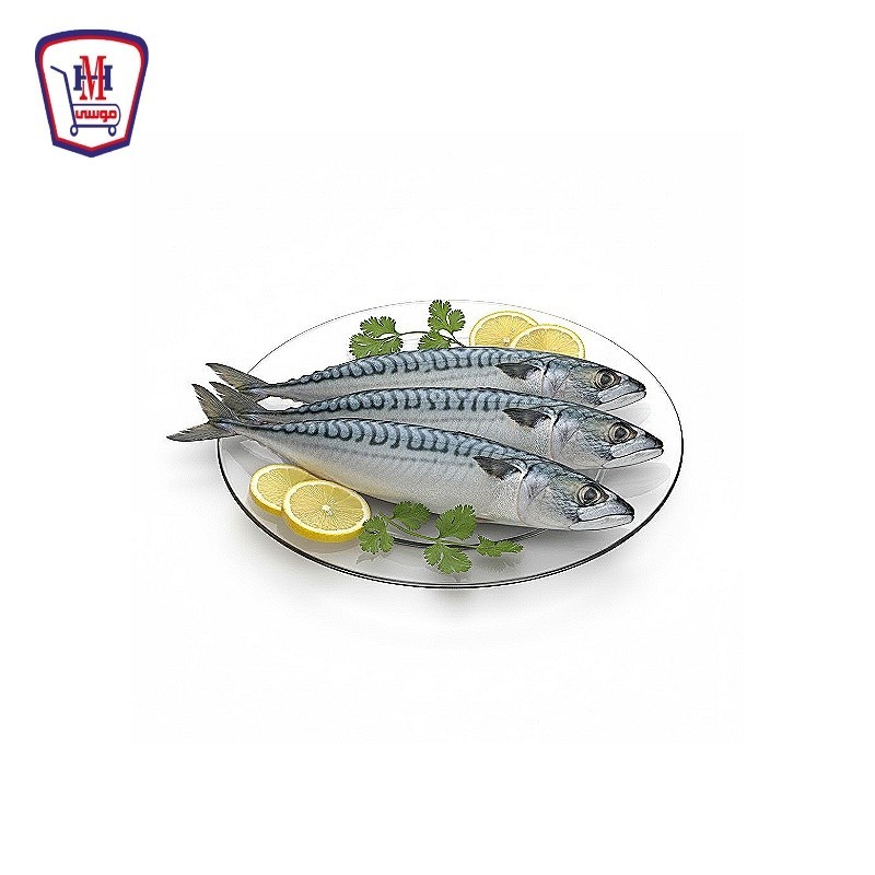 سمك ماكريل اصلى 500 جرام سمك ماكريل اصلى 500 جرام