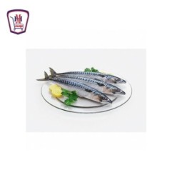 سمك ماكريل يابانى 1 كيلو جرام — طازج | هايبر موسى — تسوّق أونلاين