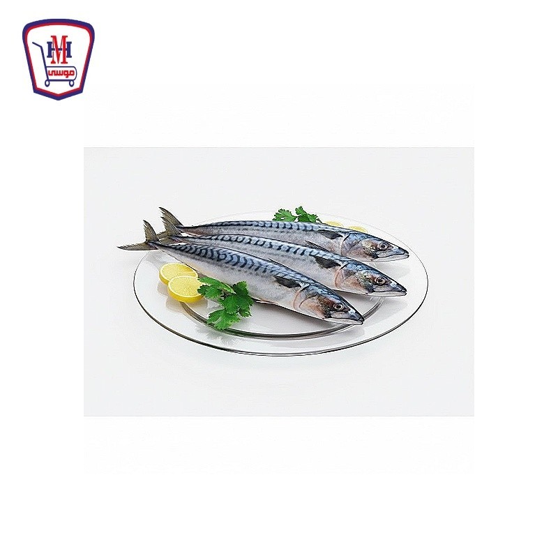 سمك ماكريل يابانى 500 جرام