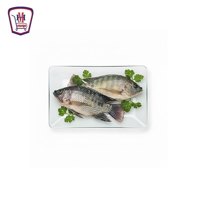 بلطى صغير 400 جرام