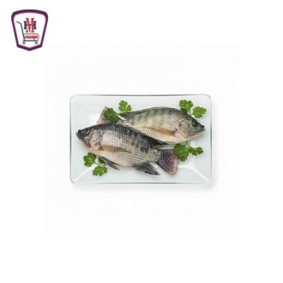 بلطى صغير 400 جرام