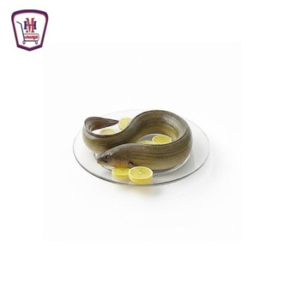 ثعابين 500 جرام