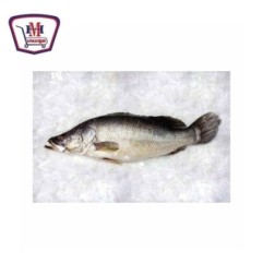 سمك بياض بلدى 1 كيلو جرام