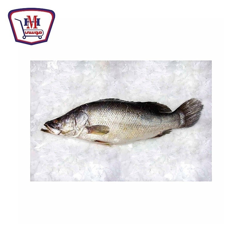 سمك بياض بلدى 1 كيلو جرام