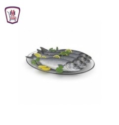 سمك دراك كبير 1 كيلو جرام