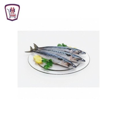 سمك ماكريل يابانى 500 جرام