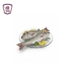 لوت صغير 500 جرام