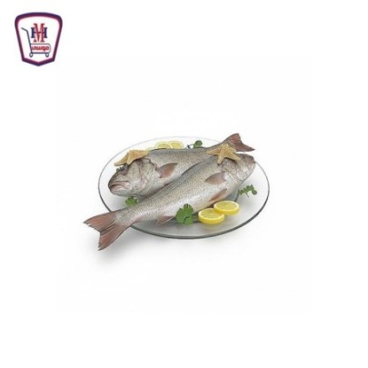 لوت صغير 500 جرام