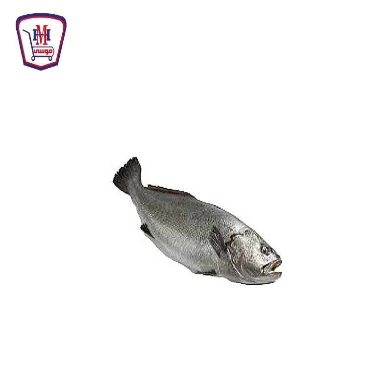 لوت صغير 500 جرام