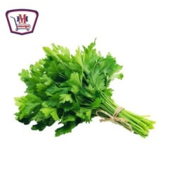 صورة شبت - بقدونس - كزبره - حزمه من ثمار - هايبر موسى