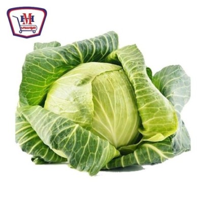 كرنب ابيض قطعه