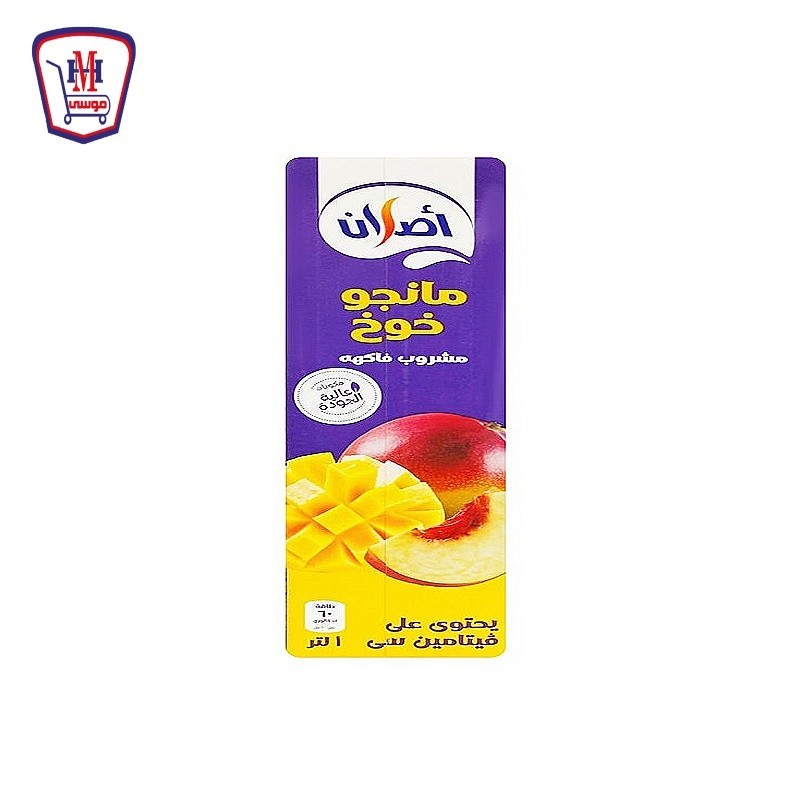 اصلان عصير مانجو خوخ 1 لتر