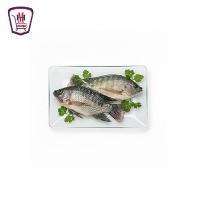 بلطى صغير 1 كيلو جرام | هايبر موسى — تسوّق أونلاين