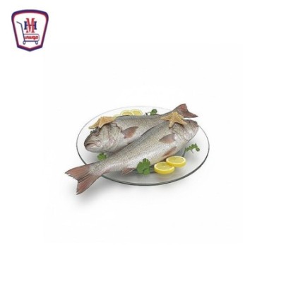 لوت صغير 1 كيلو جرام | من موسى | هايبر موسى — تسوّق أونلاين