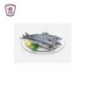 سمك ماكريل يابانى 500 جرام