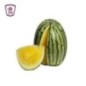 بطيخ اصفر 2500 جرام